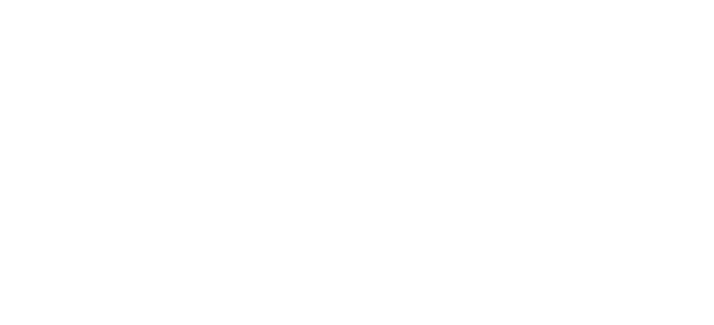 Geriatría con Alta Especialidad en Medicina del Dolor y Paliativa en CDMX - Dr. Carlos Alberto Ruiz Manriquez